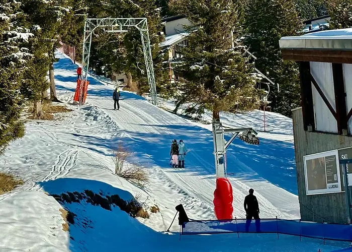 Appartement 131 On The Slopes 7pax Gryon